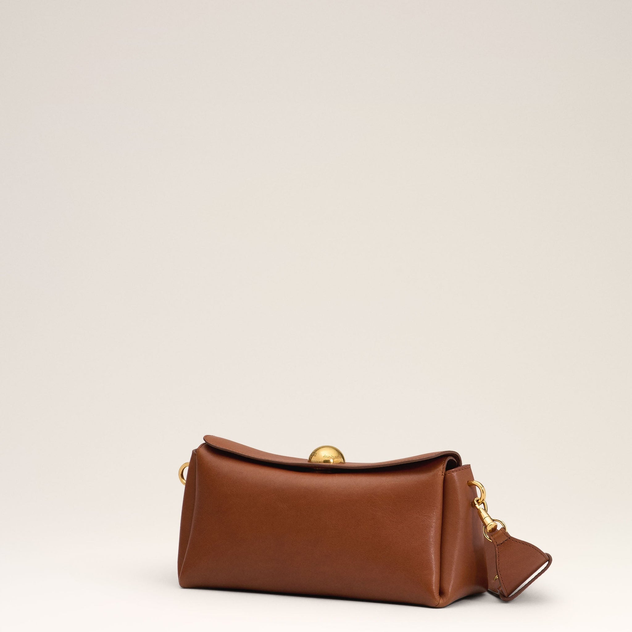 Brown Leather Carrousel Bag